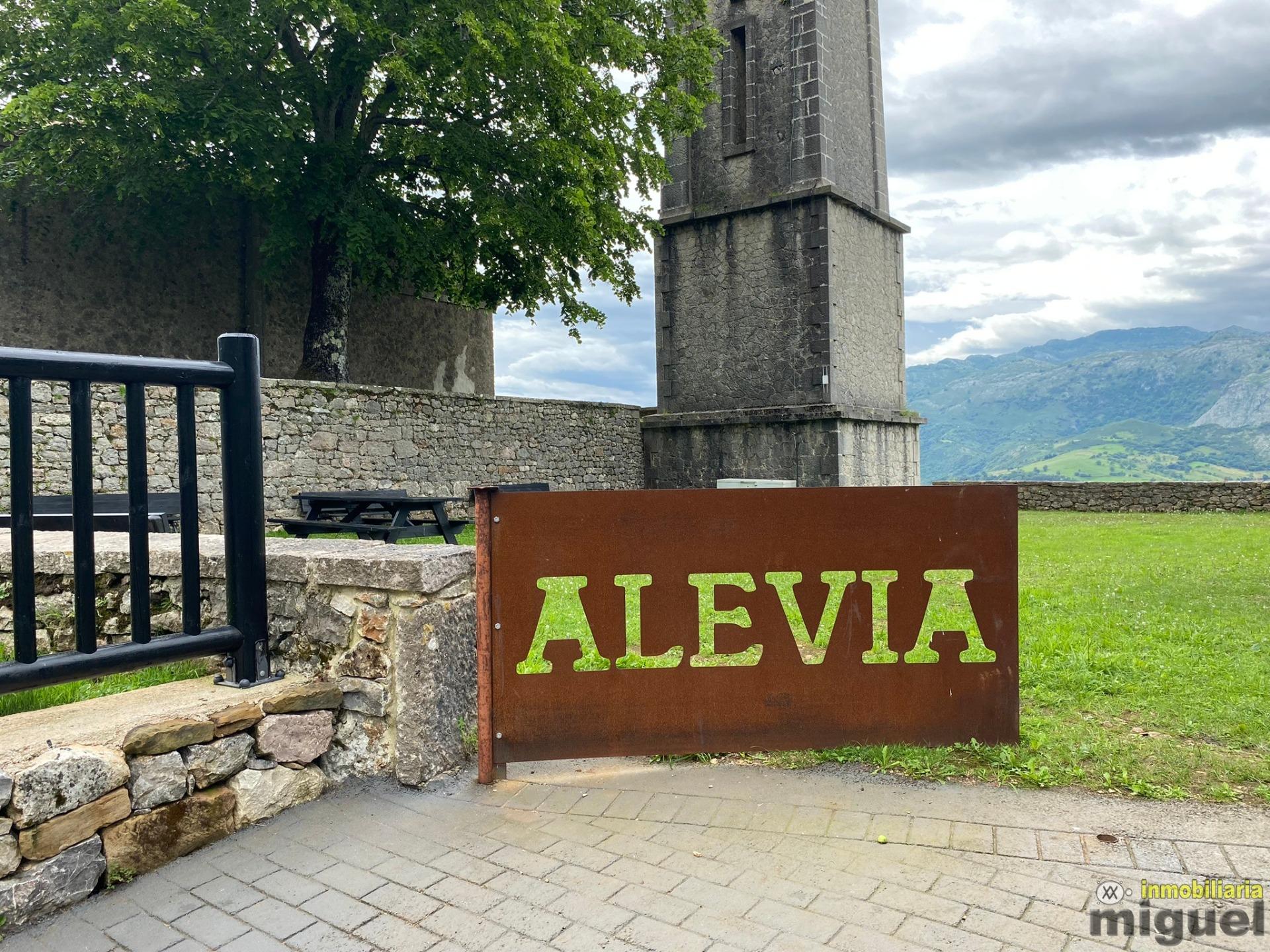 Se vende gran casona funcionando como hotel en Alevia, Peñamellera Baja (V2434)