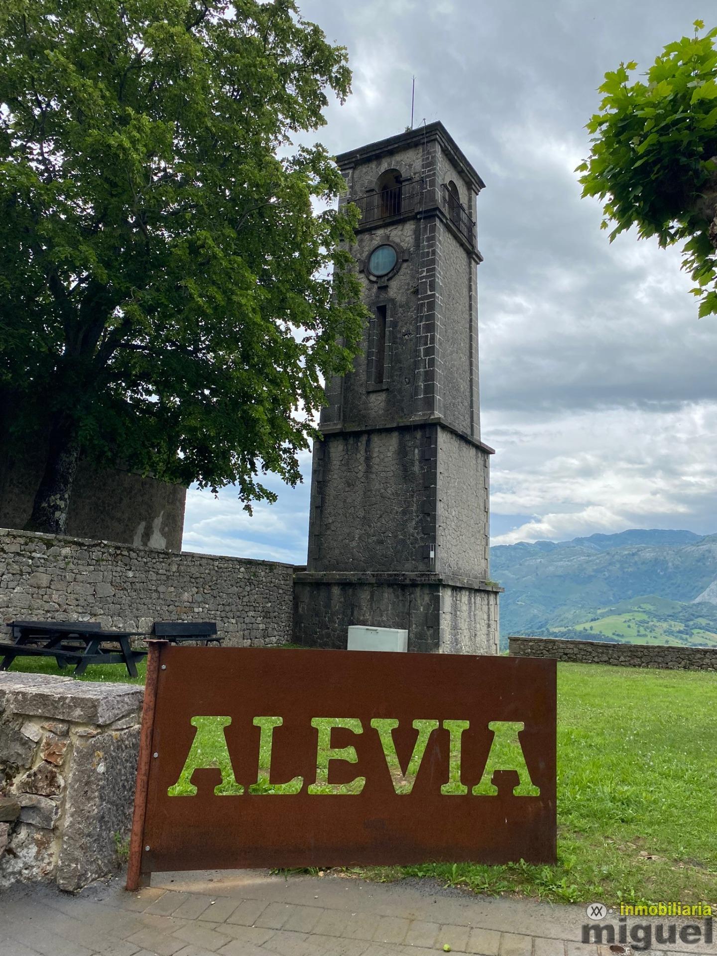 Se vende gran casona funcionando como hotel en Alevia, Peñamellera Baja (V2434)