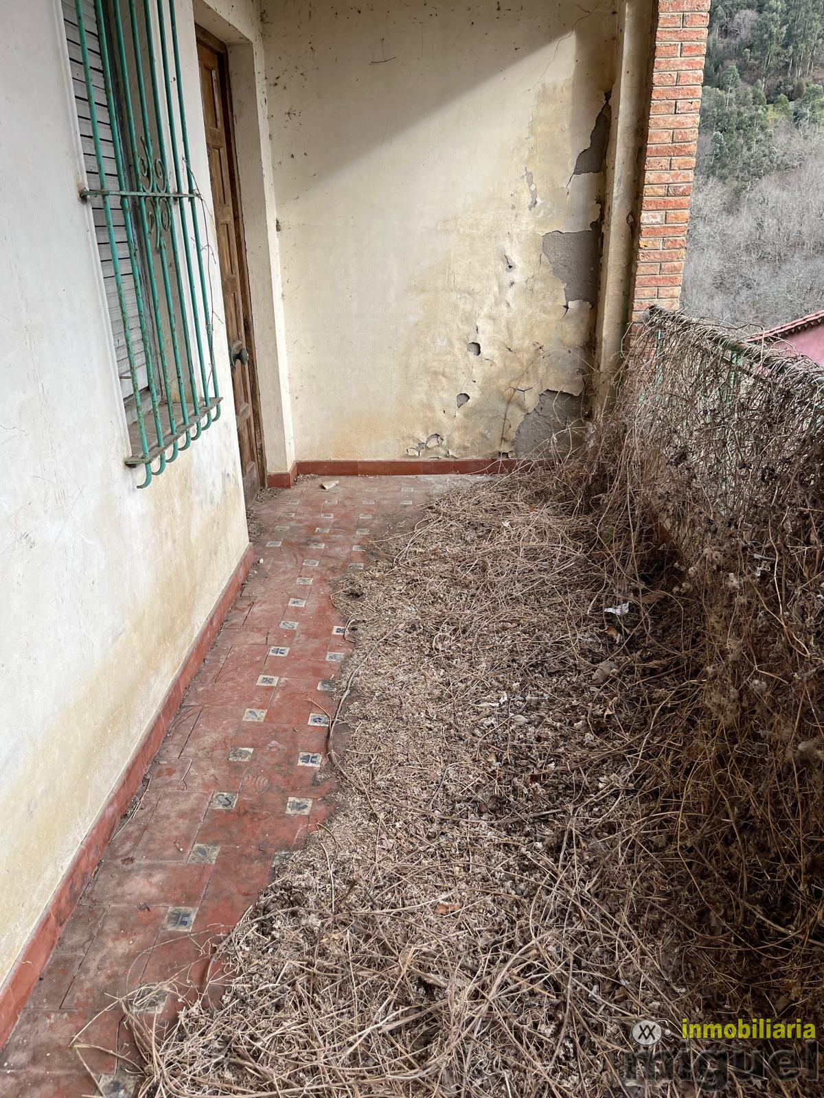 Se vende gran propiedad para rehabilitar con jardín en Abándames, Peñamellera Baja (V2505)