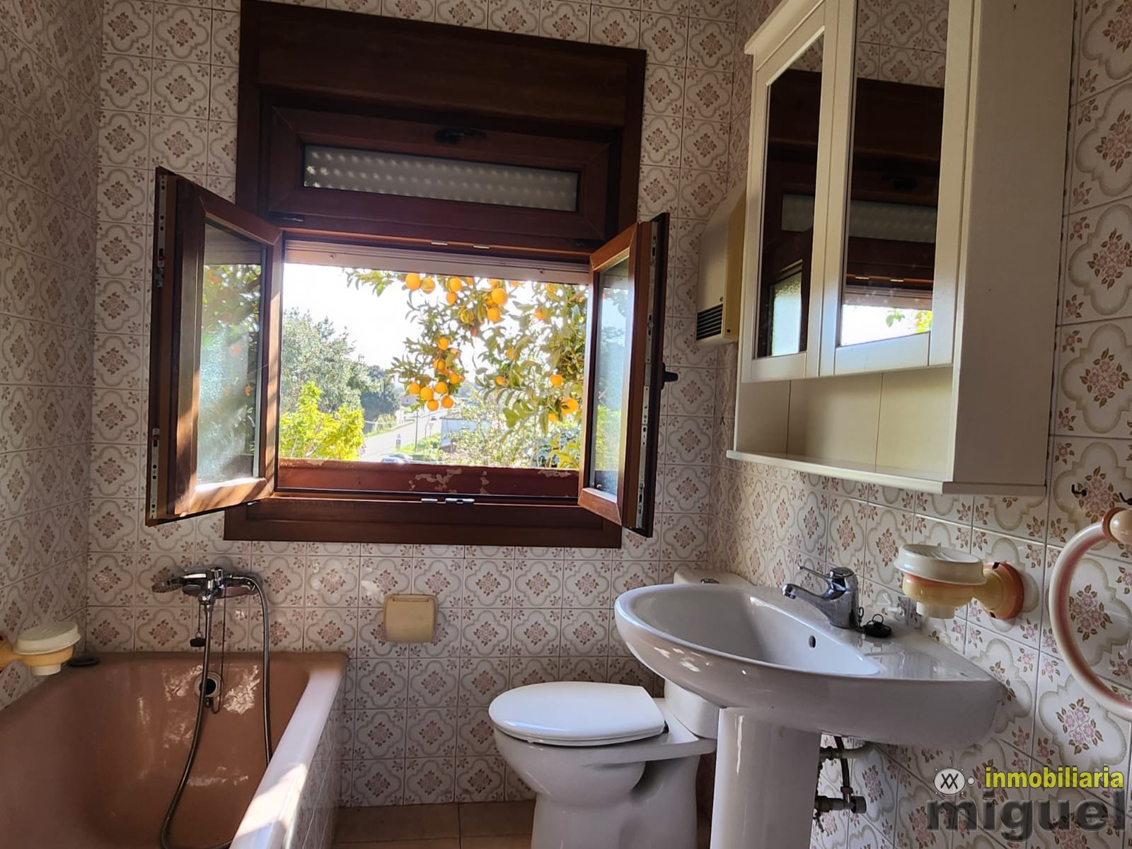 Se vende chalet con terreno en la Franca, Ribadedeva (V2507)