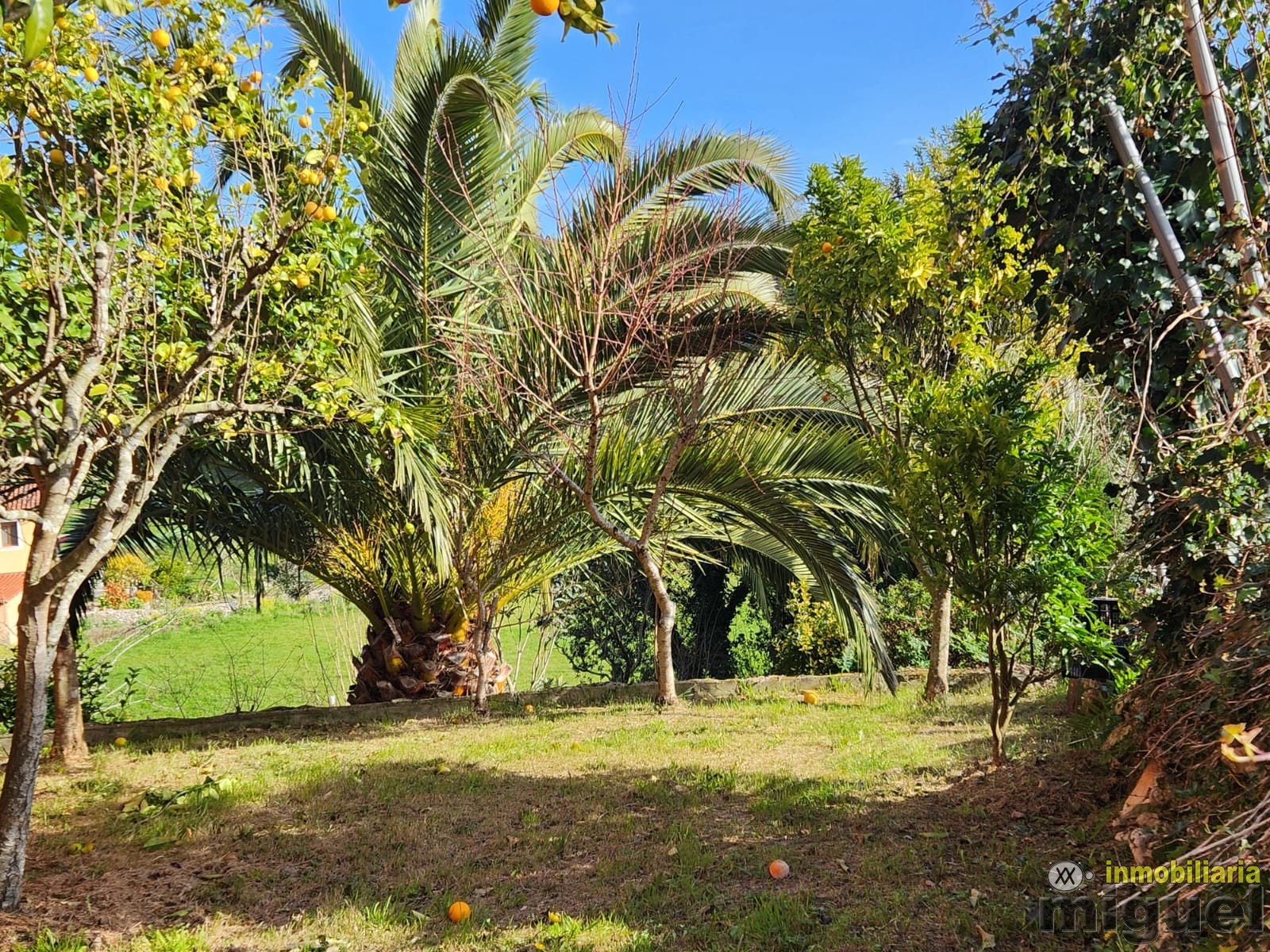 Se vende chalet con terreno en la Franca, Ribadedeva (V2507)