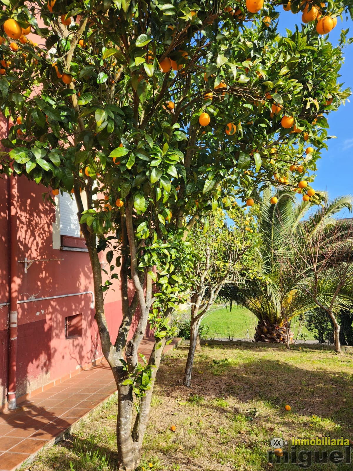 Se vende chalet con terreno en la Franca, Ribadedeva (V2507)