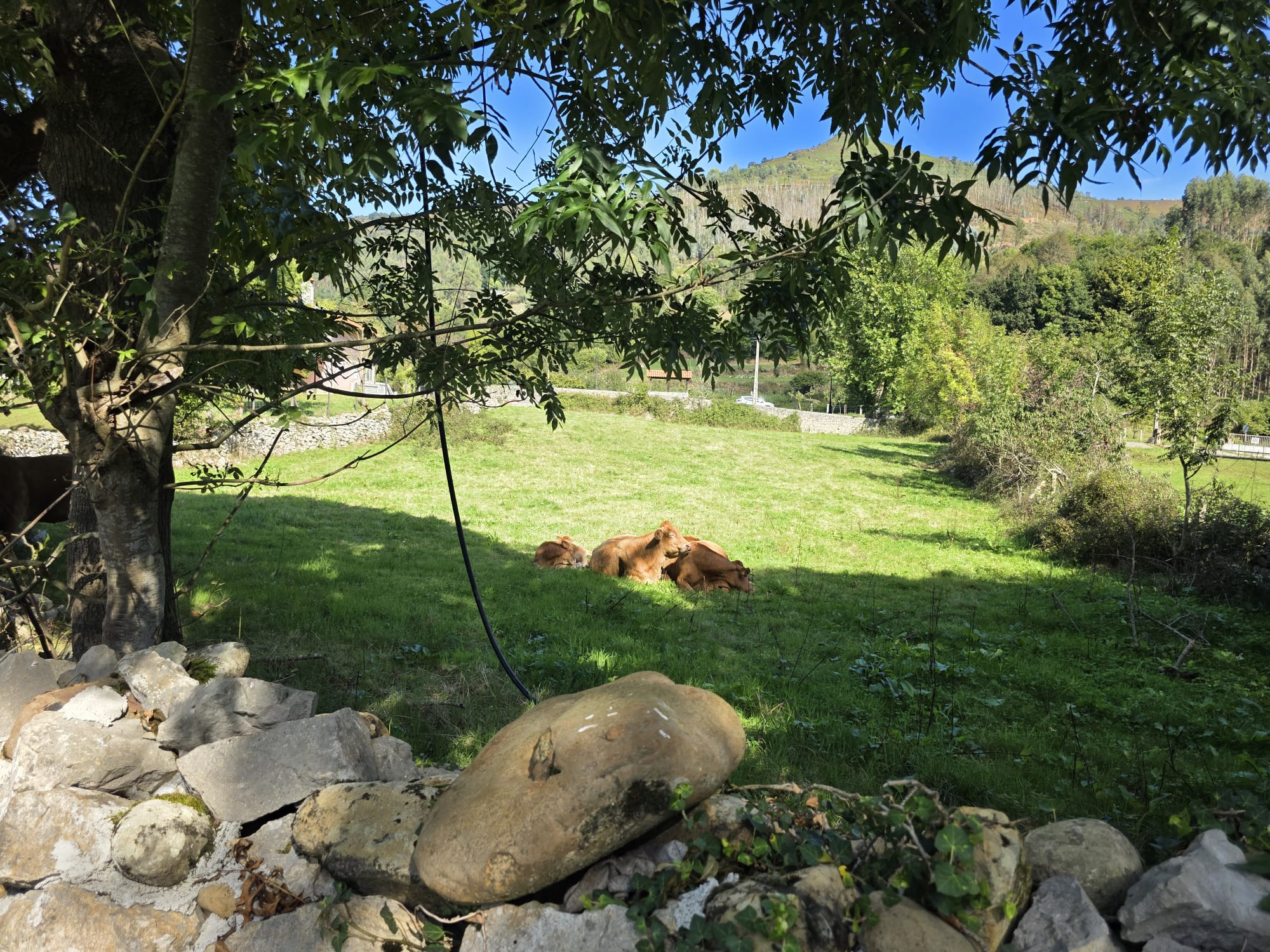 Se vende Terreno Urbano en Celis, Rionansa (V1831)