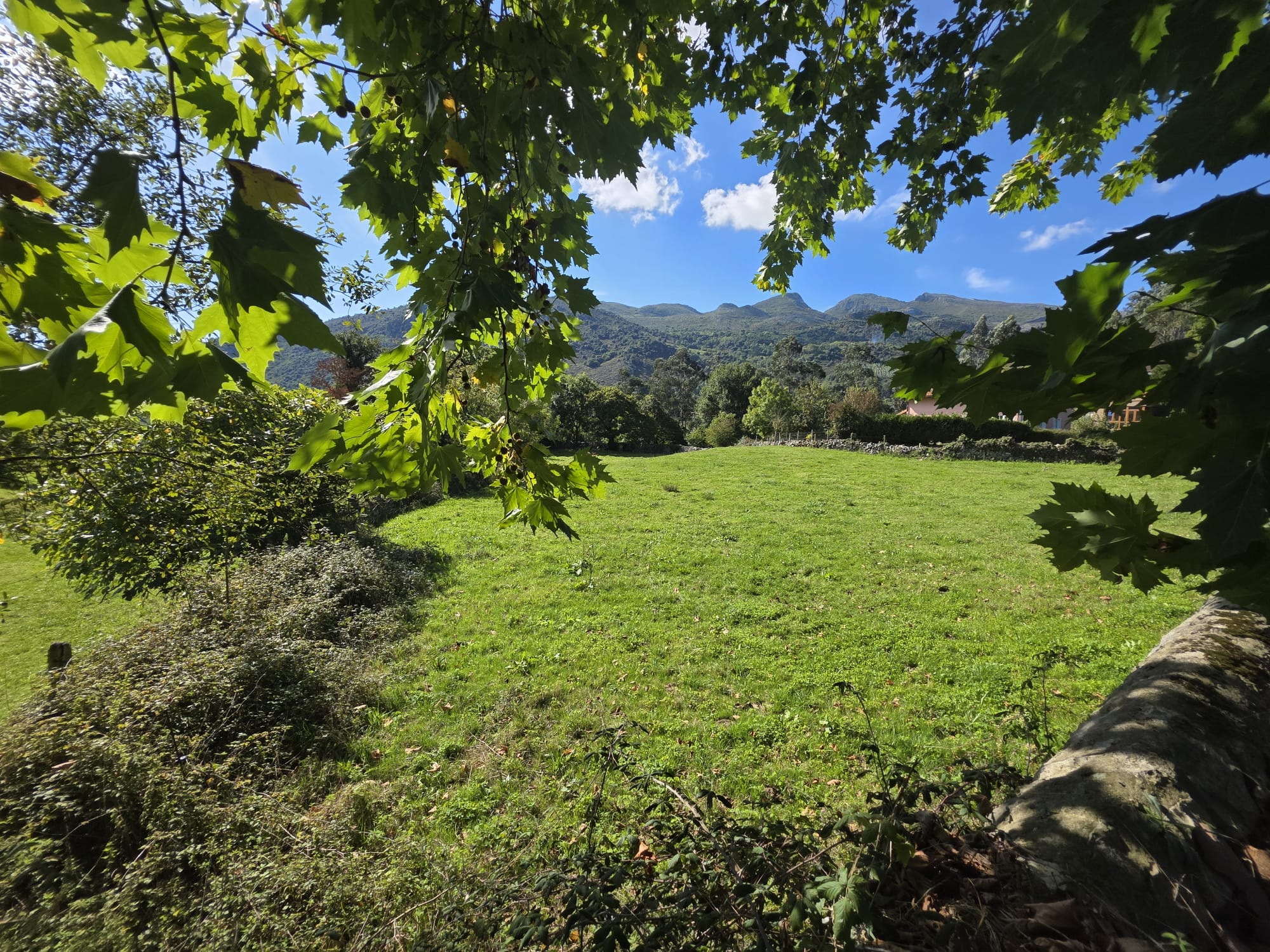 Se vende Terreno Urbano en Celis, Rionansa (V1831)