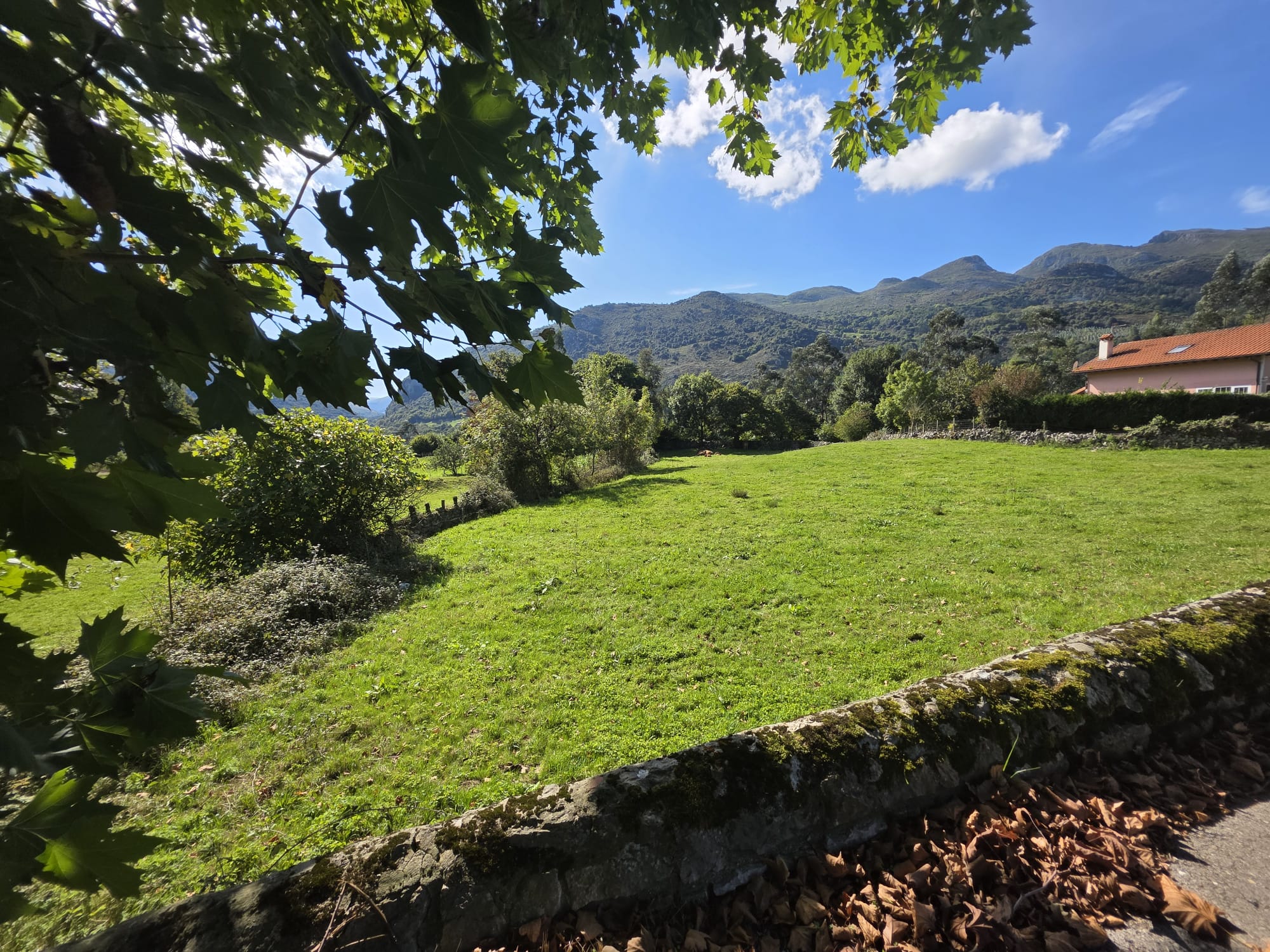 Se vende Terreno Urbano en Celis, Rionansa (V1831)
