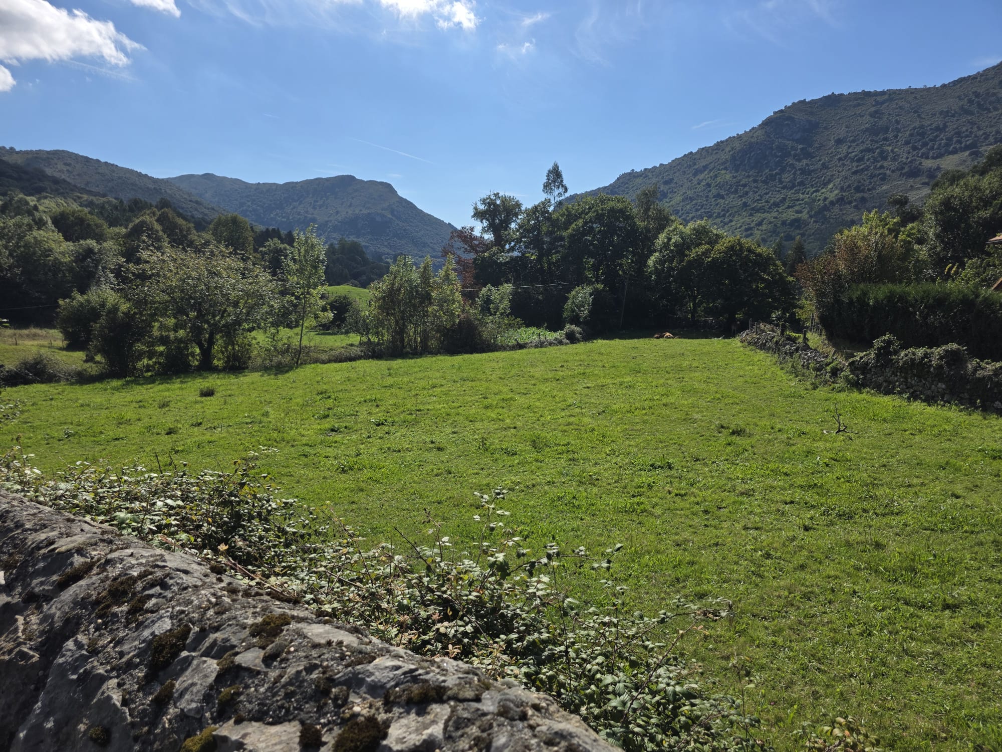 Se vende Terreno Urbano en Celis, Rionansa (V1831)