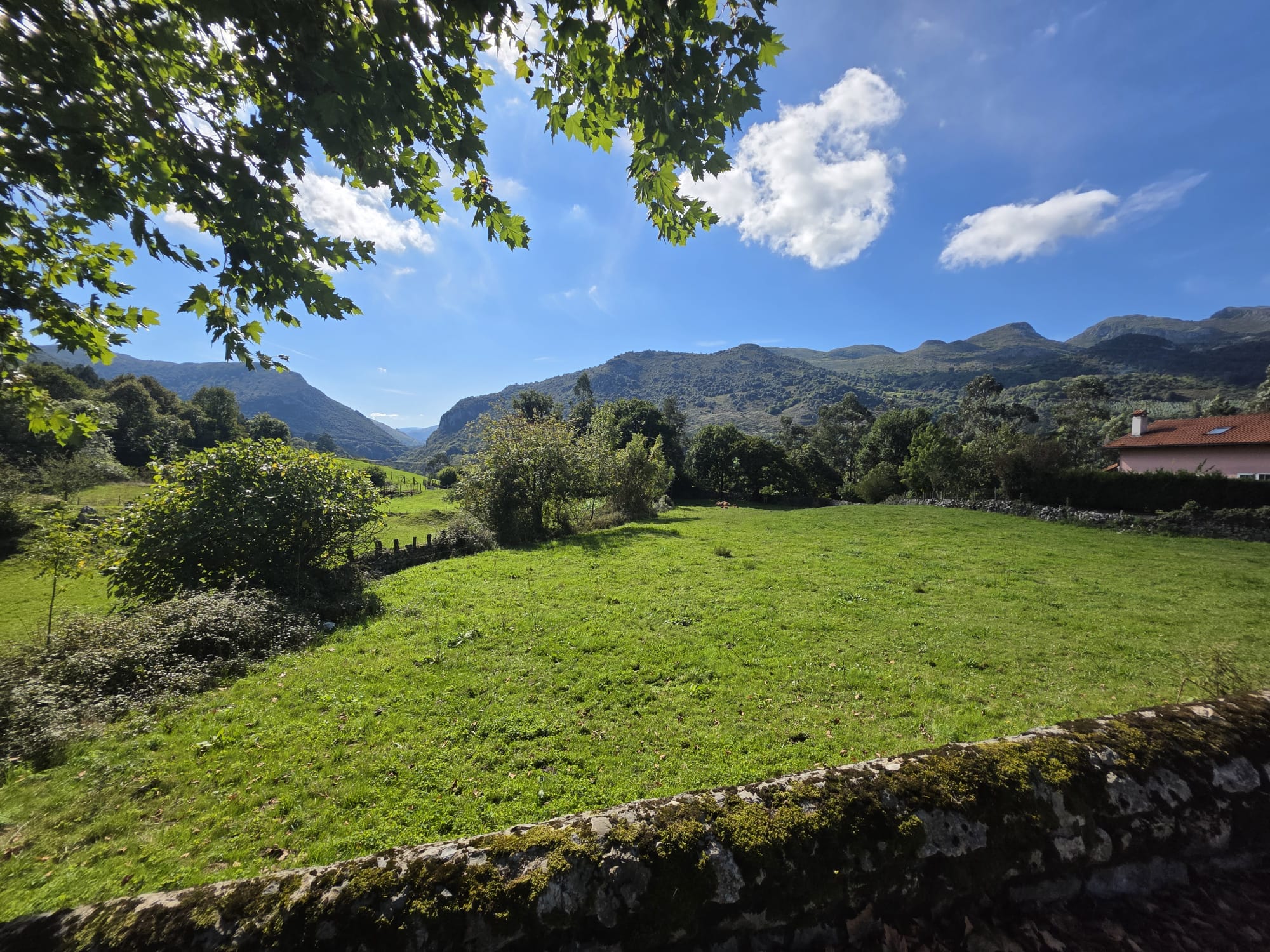 Se vende Terreno Urbano en Celis, Rionansa (V1831)