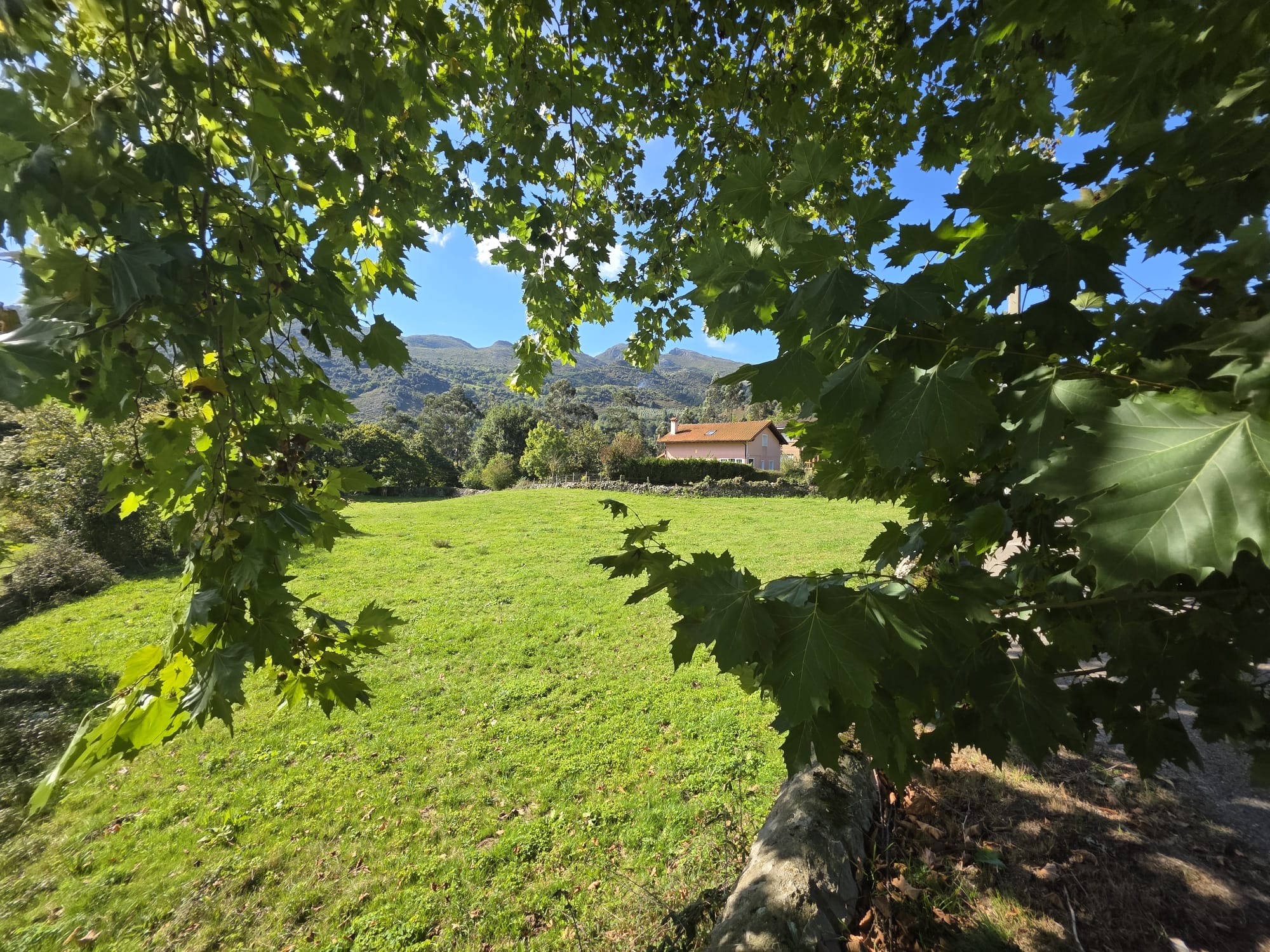 Se vende Terreno Urbano en Celis, Rionansa (V1831)
