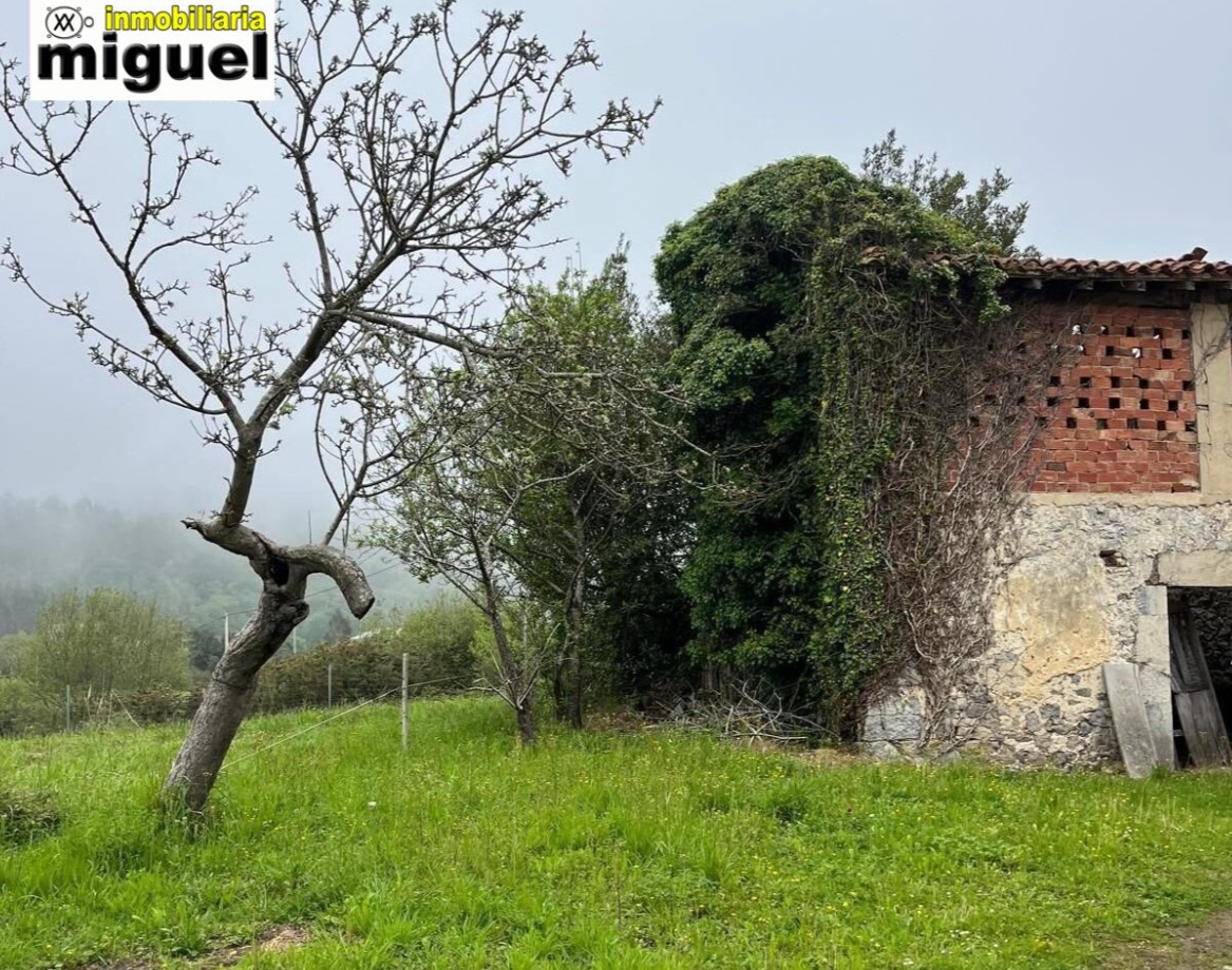 Oportunidad Única: Almacén en Ruinas con Potencial de Rehabilitación (V2609)