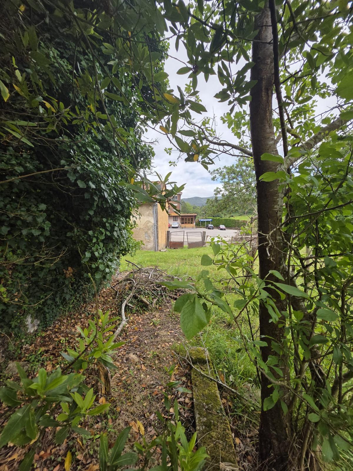 Oportunidad Única: Almacén en Ruinas con Potencial de Rehabilitación (V2609)