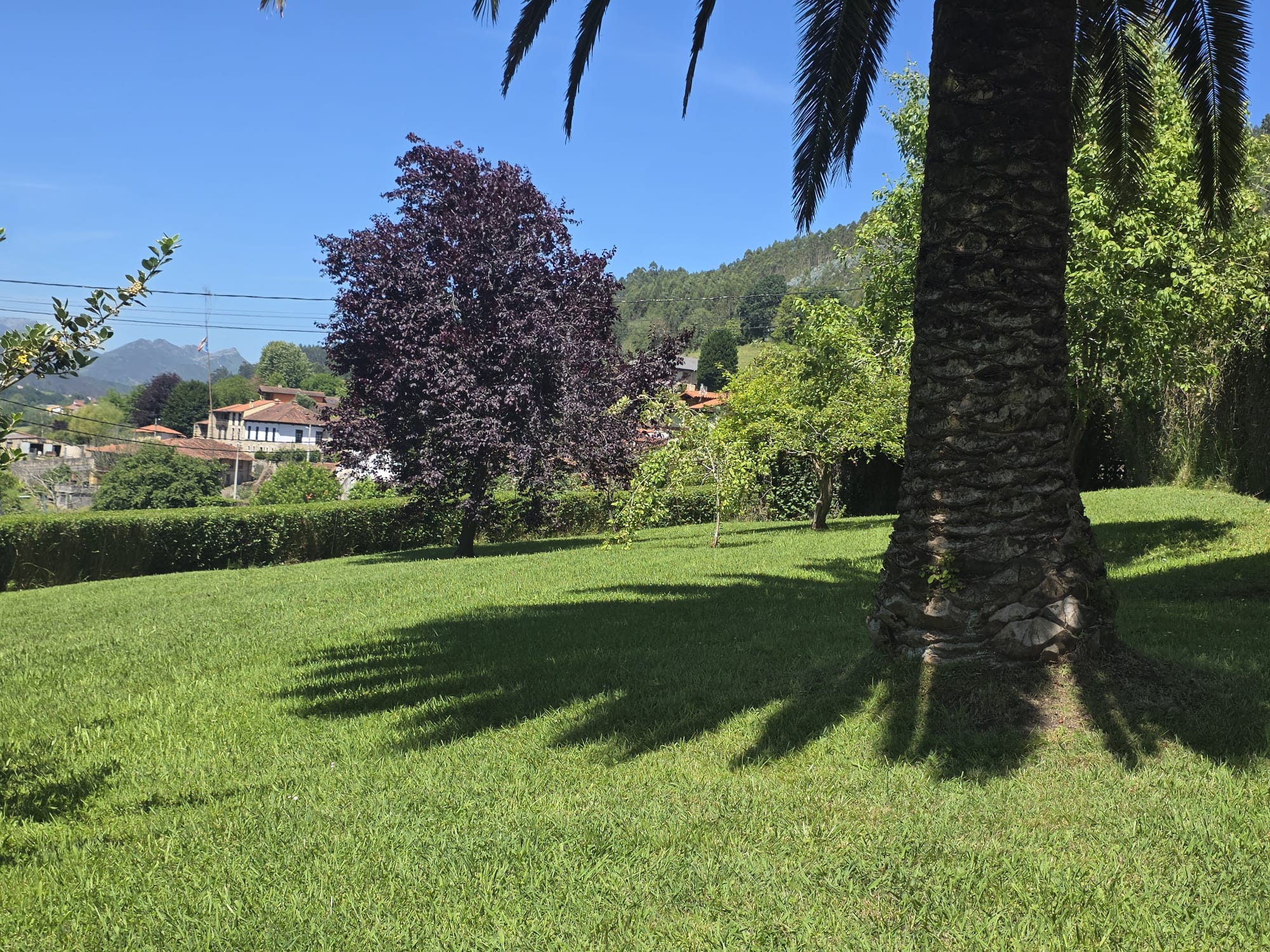 Chalet con parcela edificable de 2.476 m² a 4 km de la Playa de La Franca | Tresgrandas (Llanes, Asturias) (V2610)