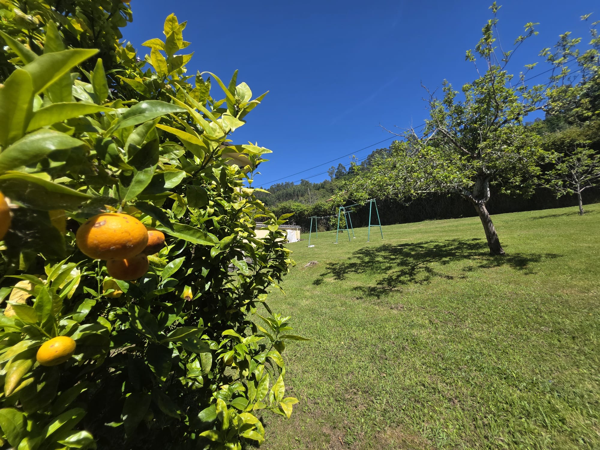 Chalet con parcela edificable de 2.476 m² a 4 km de la Playa de La Franca | Tresgrandas (Llanes, Asturias) (V2610)