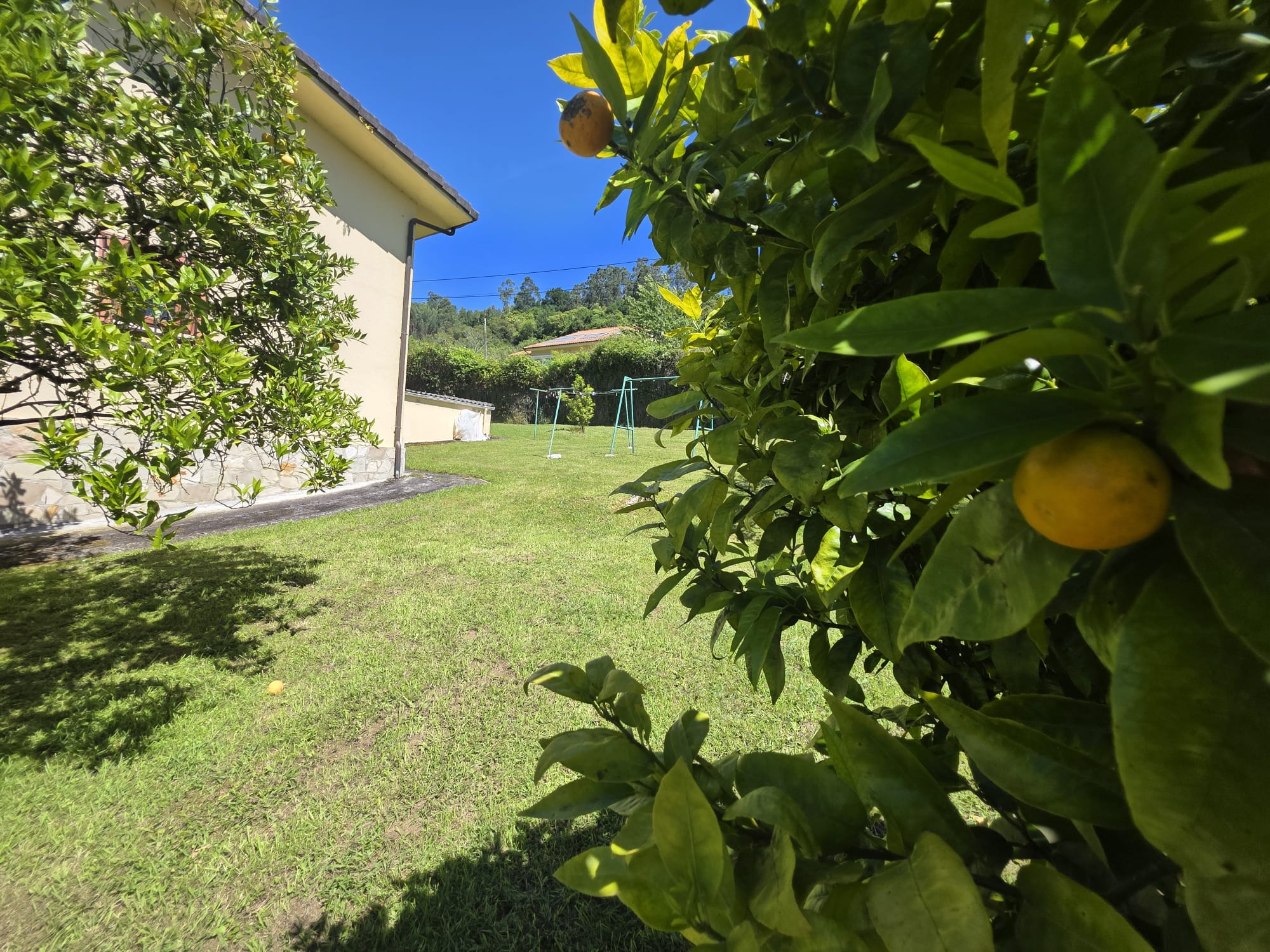 Chalet con parcela edificable de 2.476 m² a 4 km de la Playa de La Franca | Tresgrandas (Llanes, Asturias) (V2610)