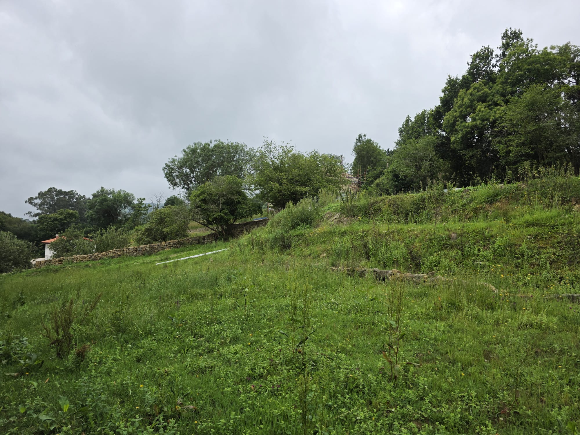 Casona semireformada y cuadra en Luey con amplio terreno (V2602)